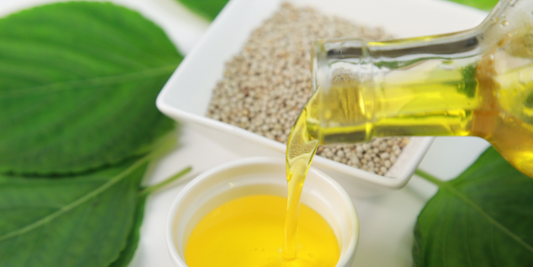 6 Benefit of Perilla Seed Oil in Skincare